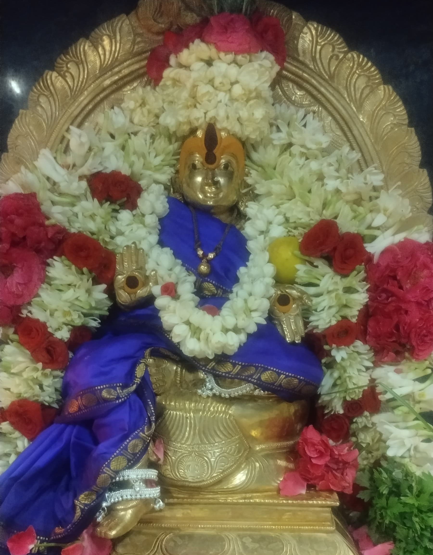 February Amavasya Pooja 3