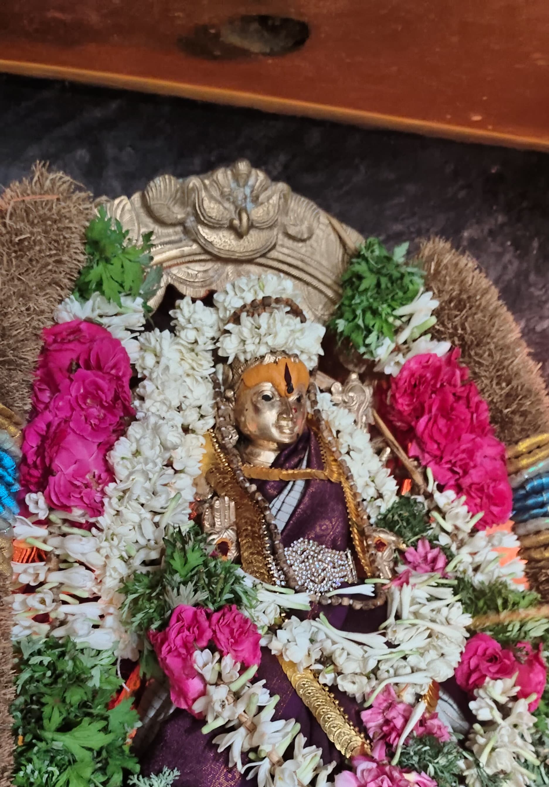 March Amavasya Pooja 1