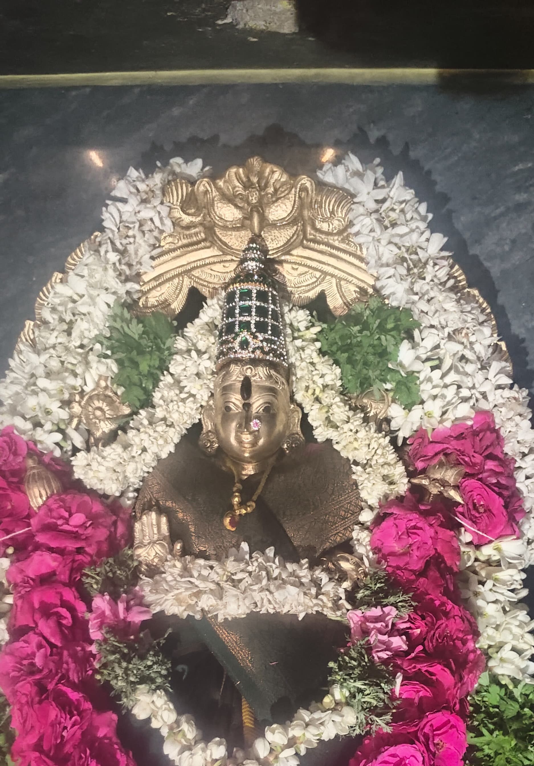 June Amavasya Pooja 3