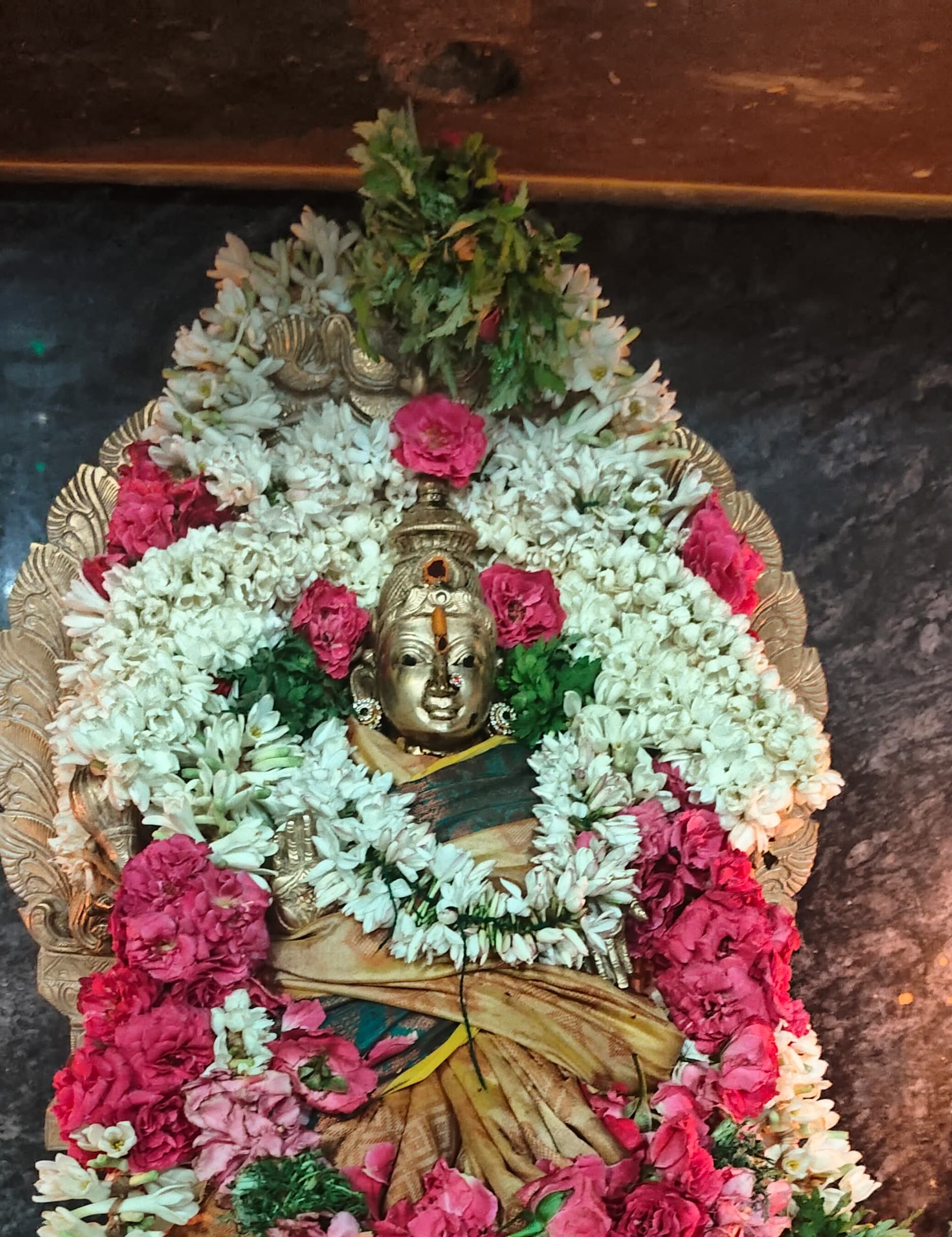 October Amavasya Pooja 3